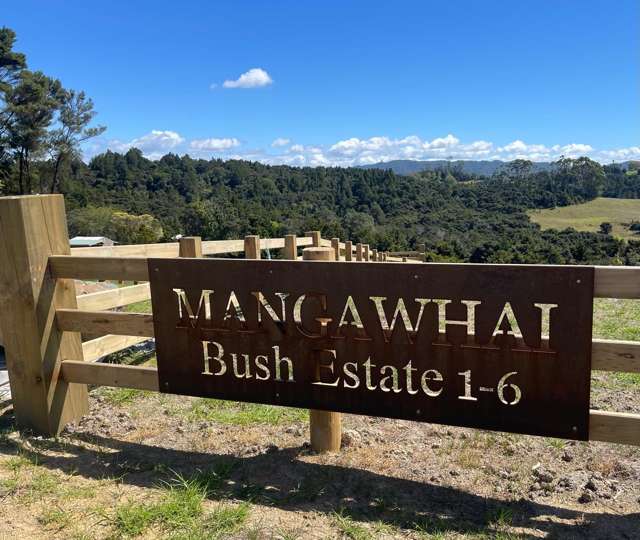 Exceptional living in Mangawhai