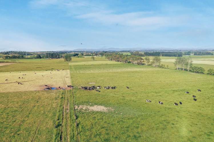 Timaru-Pleasant Point Highway Timaru Surrounds_16