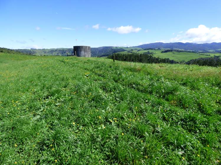 2229 State Highway 31, Kawhia Road Otorohanga_5