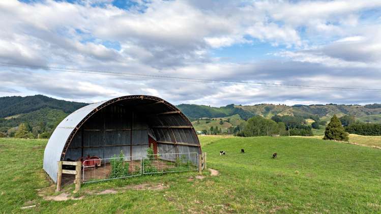 2140 State Highway 2, Nukuhou North Whakatane_6
