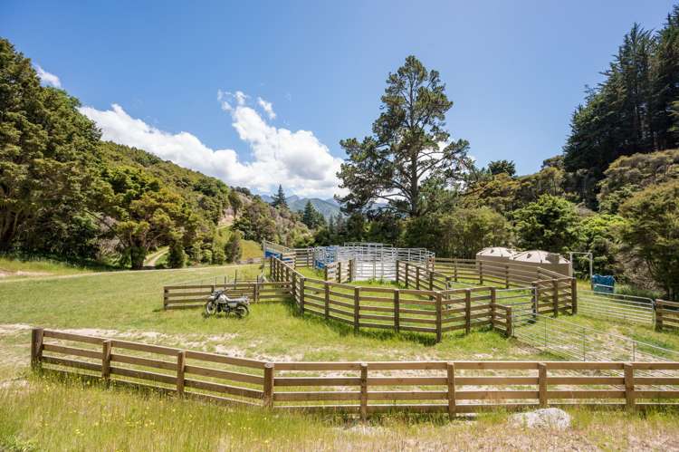 1809 Motueka Valley Highway Ngatimoti_5