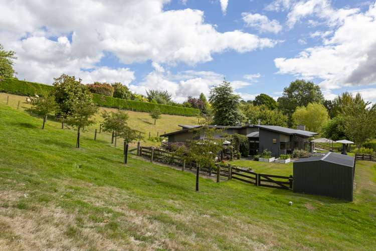 139 Palmer Mill Road Wairakei and Surrounds_44