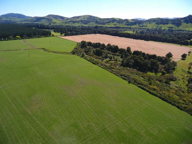 1562 State Highway 2 Kiriwhakapapa_4