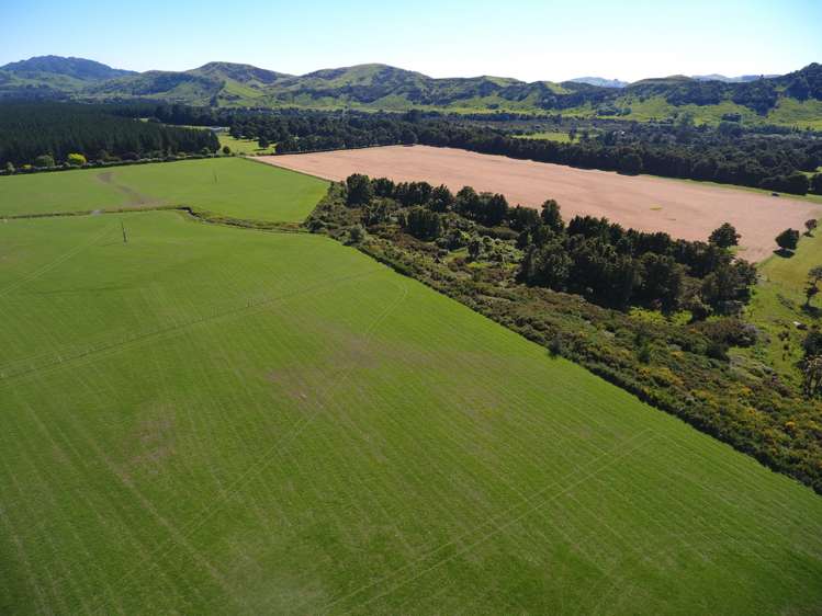 1562 State Highway 2 Kiriwhakapapa_4