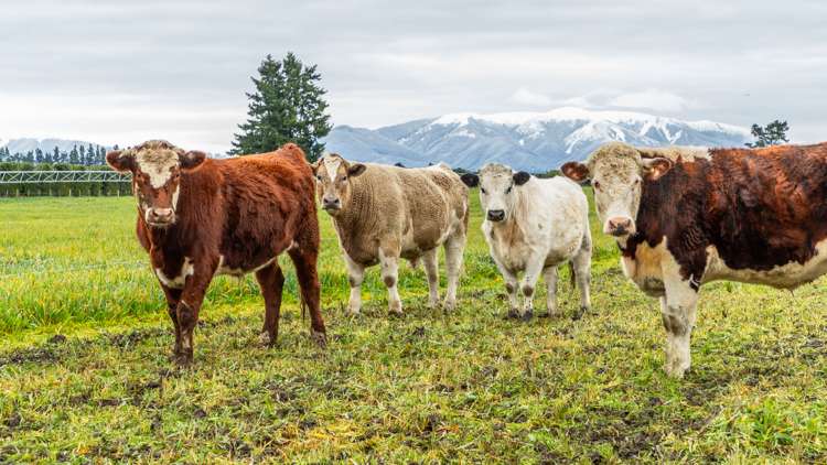 205 Barrs Road Sheffield_5