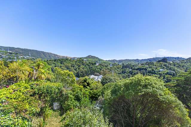 27 Hanover Street Wadestown_1