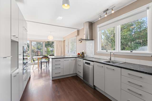 28 Murphys Road Springlands_3