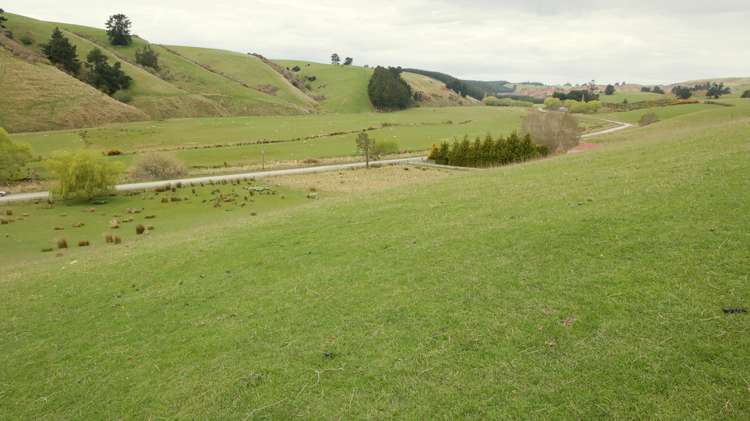 Waitahuna Gully Road Lawrence_10