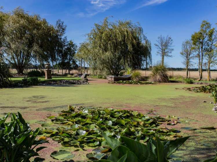 137 Smiths Road Leithfield_18