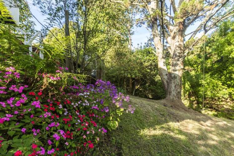 1604b Great North Road Waterview_15