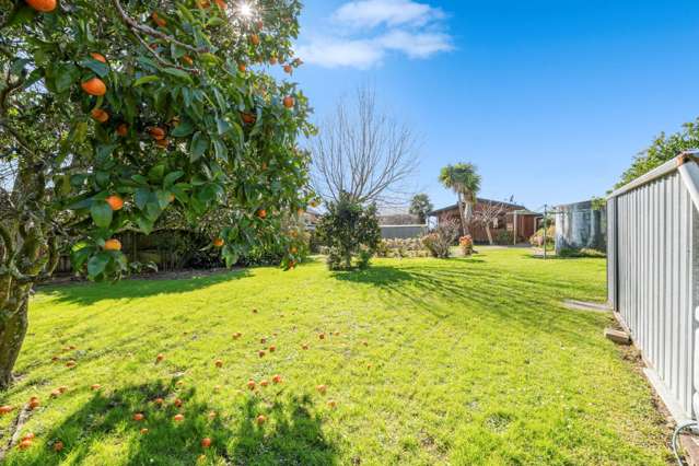 45 Campbell Road Maraetai_4