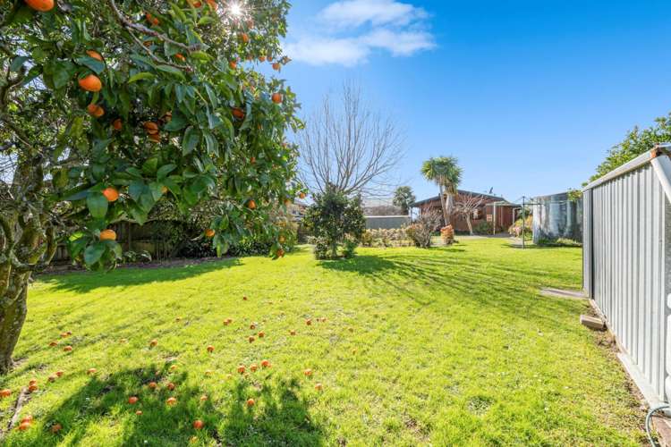 45 Campbell Road Maraetai_5