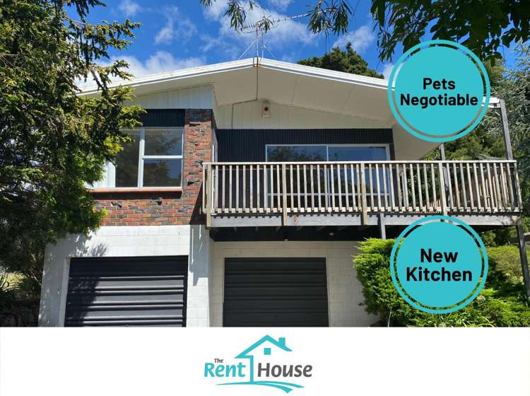 50 Collie Street_0