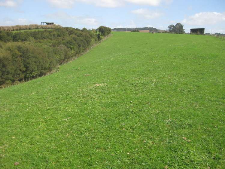 174 Morrison Road Pukekawa_5