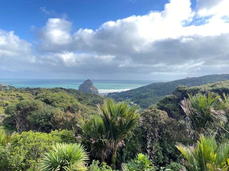 22 Pendrell Road Piha_5