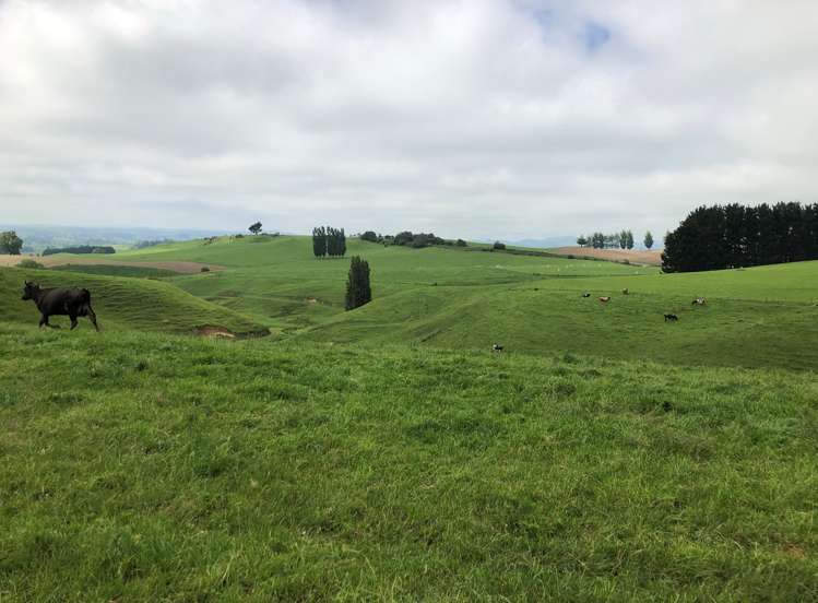 2364 Arapuni Road Pukeatua_12