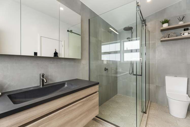 48a Belfast Street Hillsborough_12