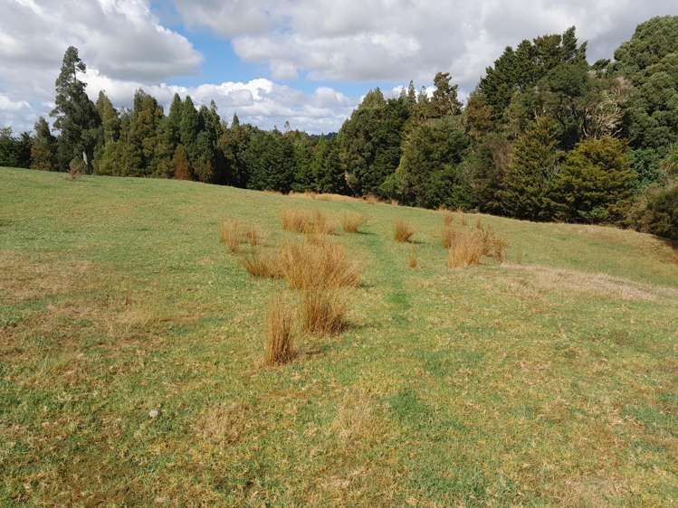 596 Waimate North Road Kerikeri_6