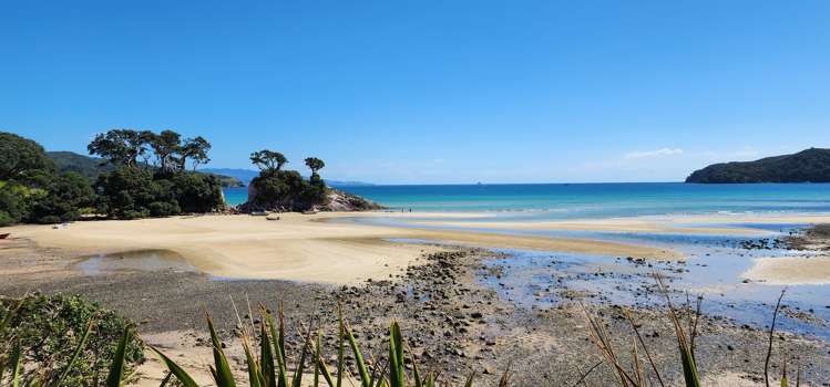 268 Shoal Bay Road Great Barrier Island_23