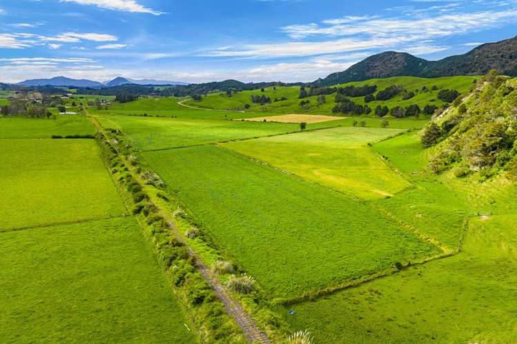 Omana Road Tangiteroria_11