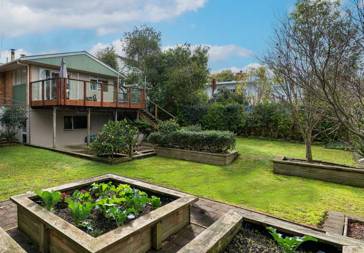 111 Ellicott Road Nawton_13