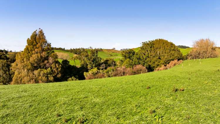 Lot 2,3,4 York Road, Lepperton New Plymouth_11