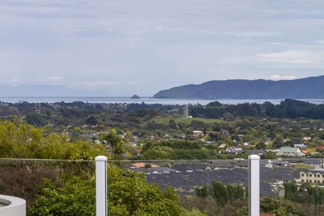 155 Winara Avenue Waikanae_3