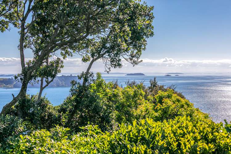 59 Waiheke Road Waiheke Island_5