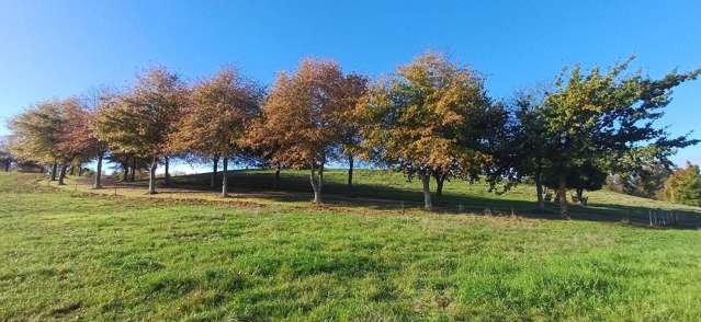 Tuki Tuki Road Haumoana_1