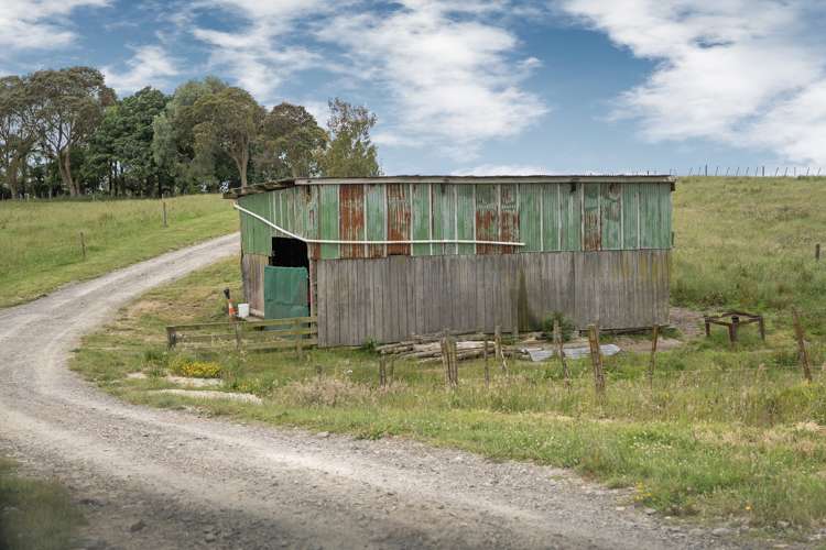 1300 Pongakawa Bush Road Pongakawa_20