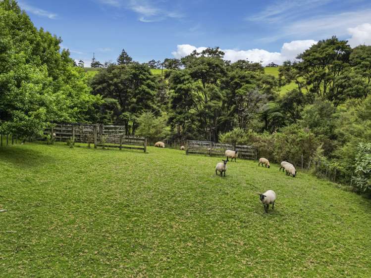 1439 Old North Road Helensville_27