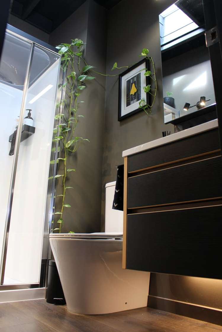 2d/12 Charles Street Mount Eden_5