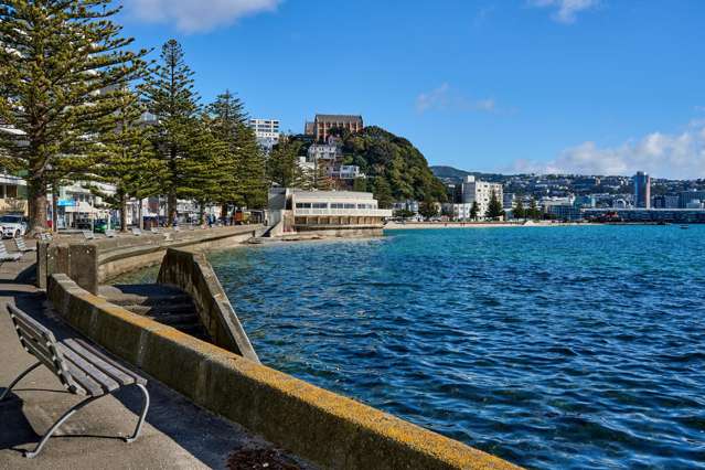 3B/274 Oriental Parade Oriental Bay_1