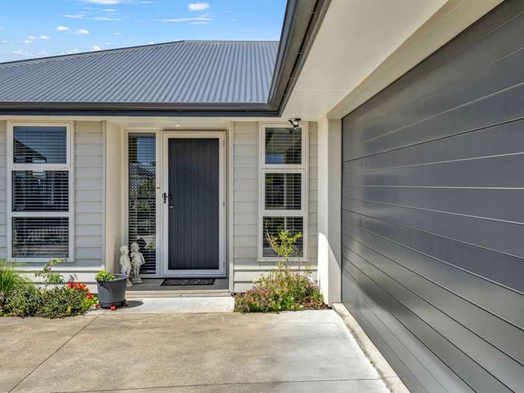 17 Morrell Street Tawhero_25