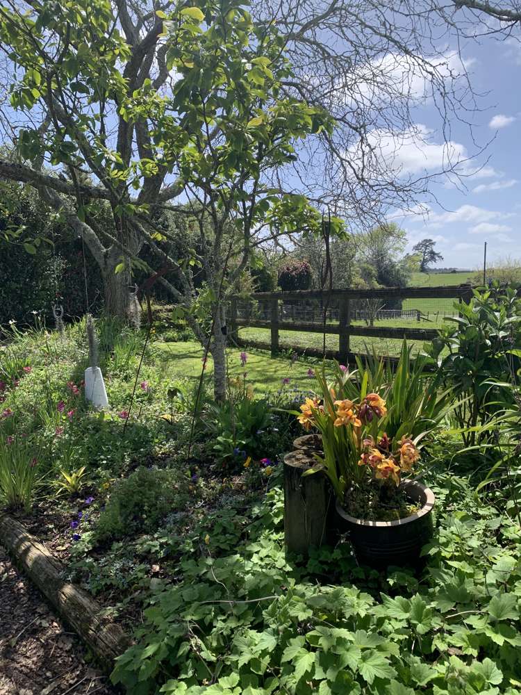 87 Pukeoware Road Waiuku_39