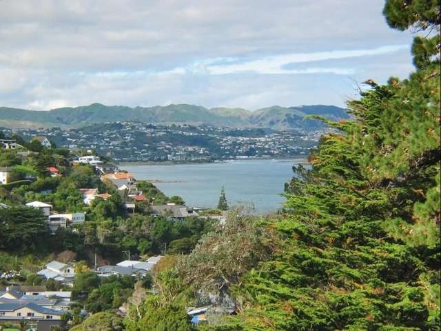 71a Airlie Road Plimmerton_1