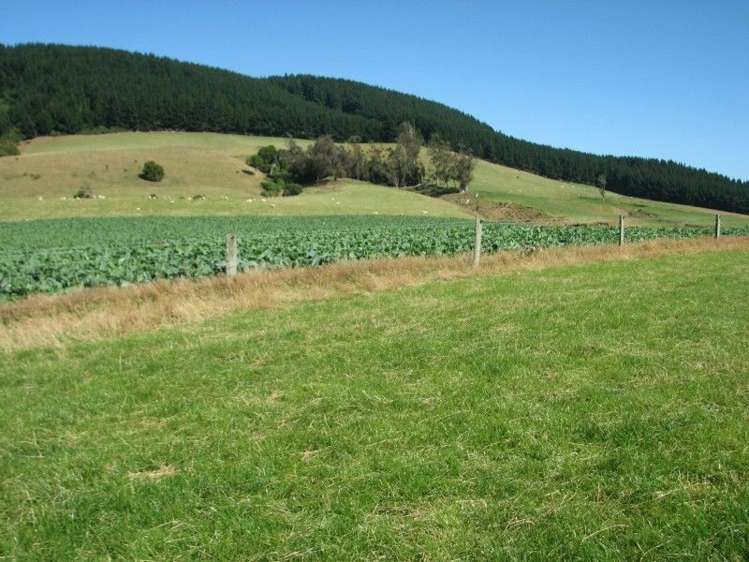 183 Gunn Road Catlins Surrounds_6
