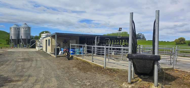 441 State Highway 38 Rerewhakaaitu_5