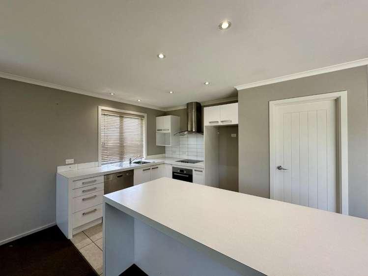 6 Braam Lane Tinwald_1