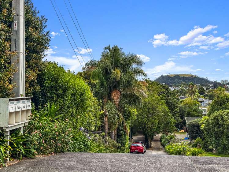 71 Landscape Road Mount Eden_23