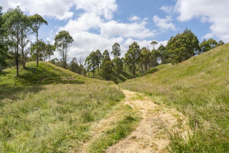 173A Otake Road Kinloch_12