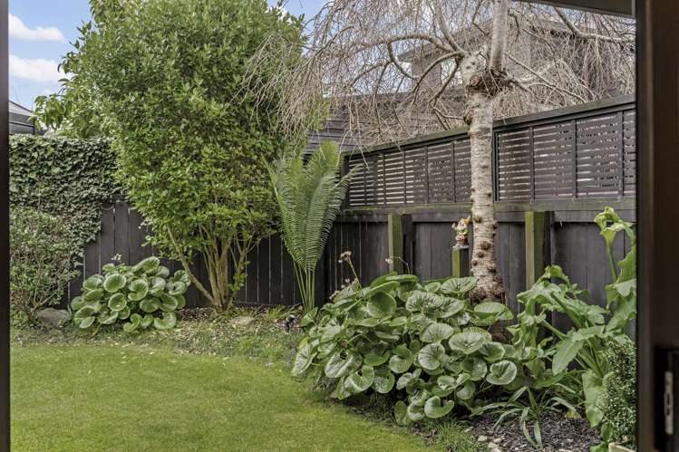 69C St Johns Road Meadowbank_15