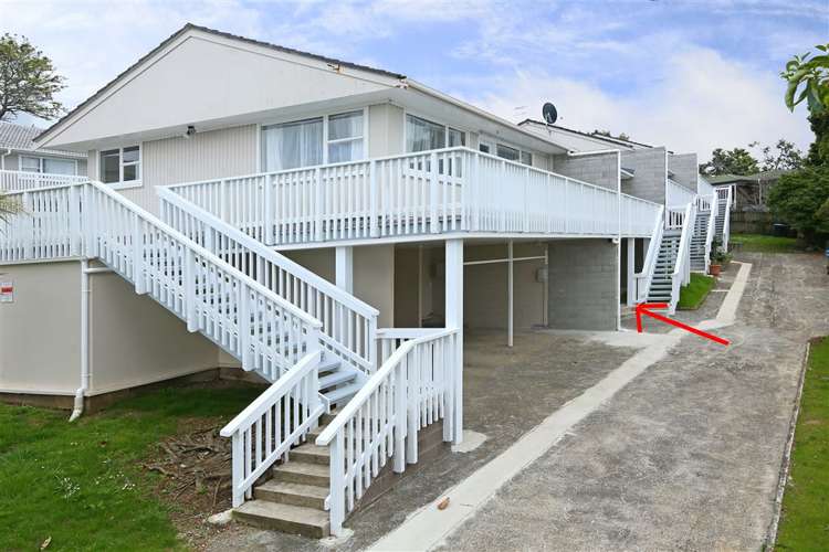 1/2 Ewenson Avenue One Tree Hill_0