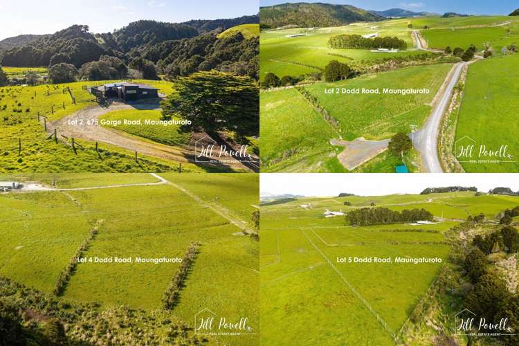 Lots/2, 4, 5 Dodd Road_0