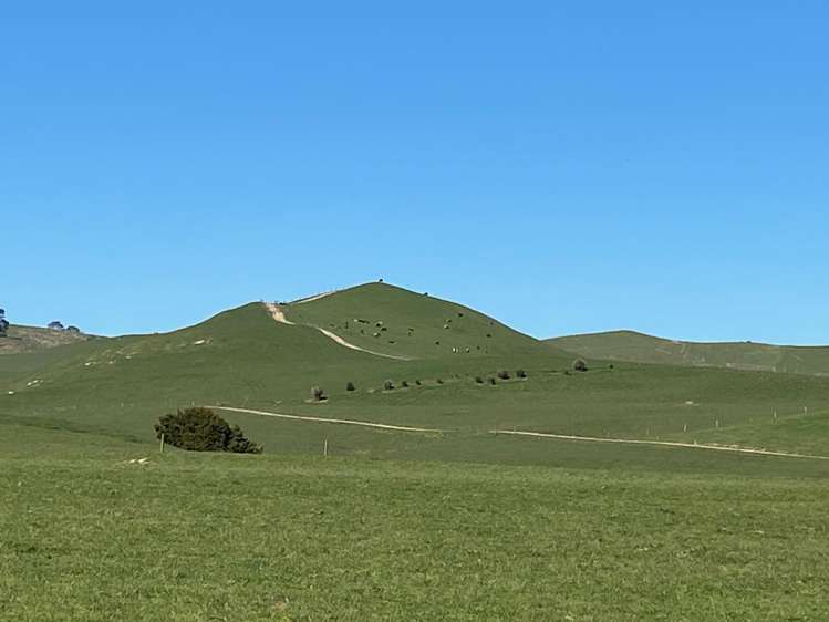 740D Tainui Road Hoe-o-tainui_5