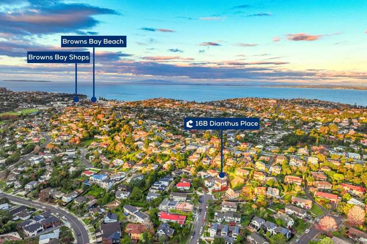 16B Dianthus Place Browns Bay_22