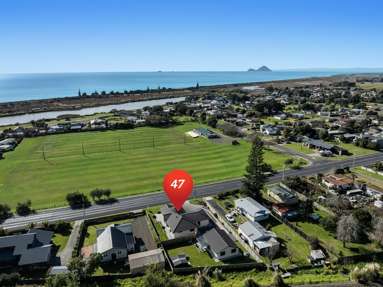 47 Pakeha Street_3