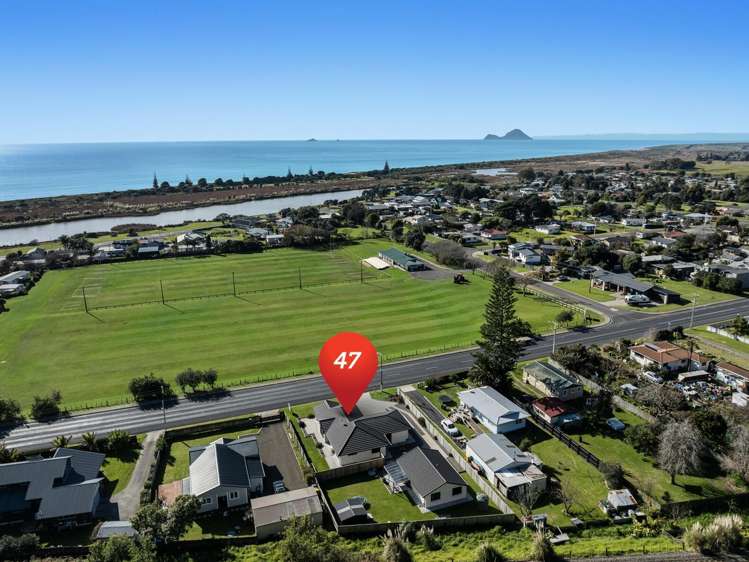 47 Pakeha Street_3