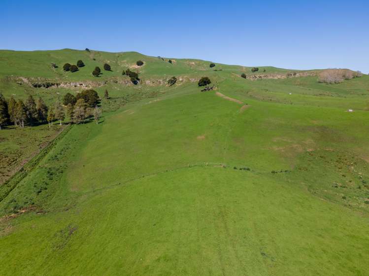 246 Allen And Eyre Road Onewhero_7