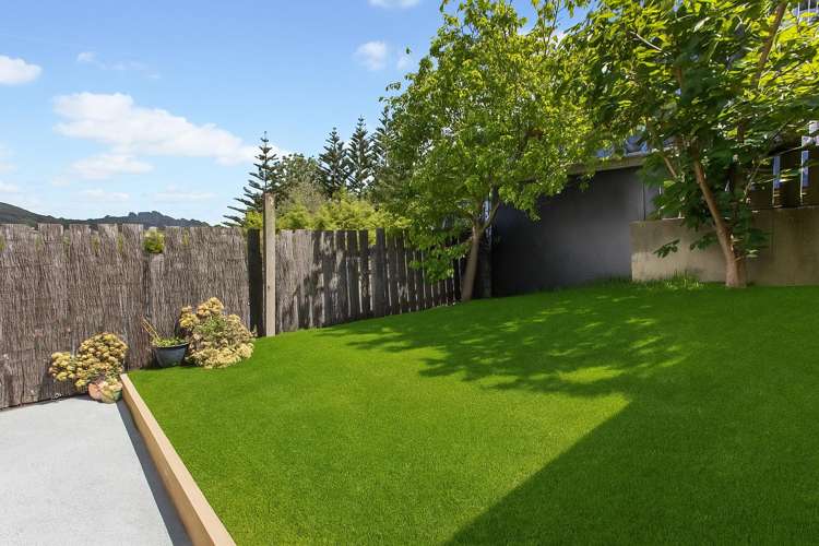 28 Owen Street Newtown_14